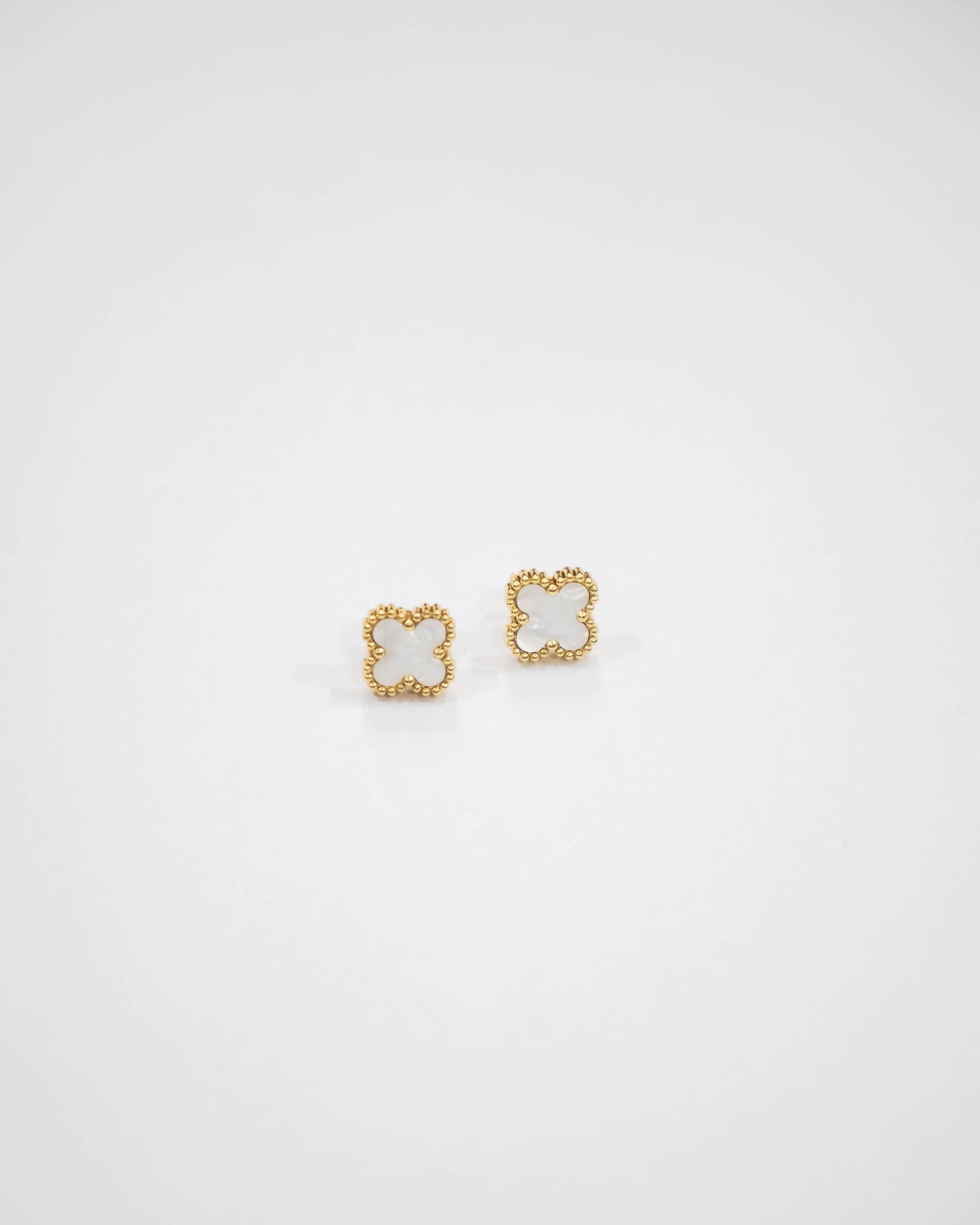 White Clover Stud