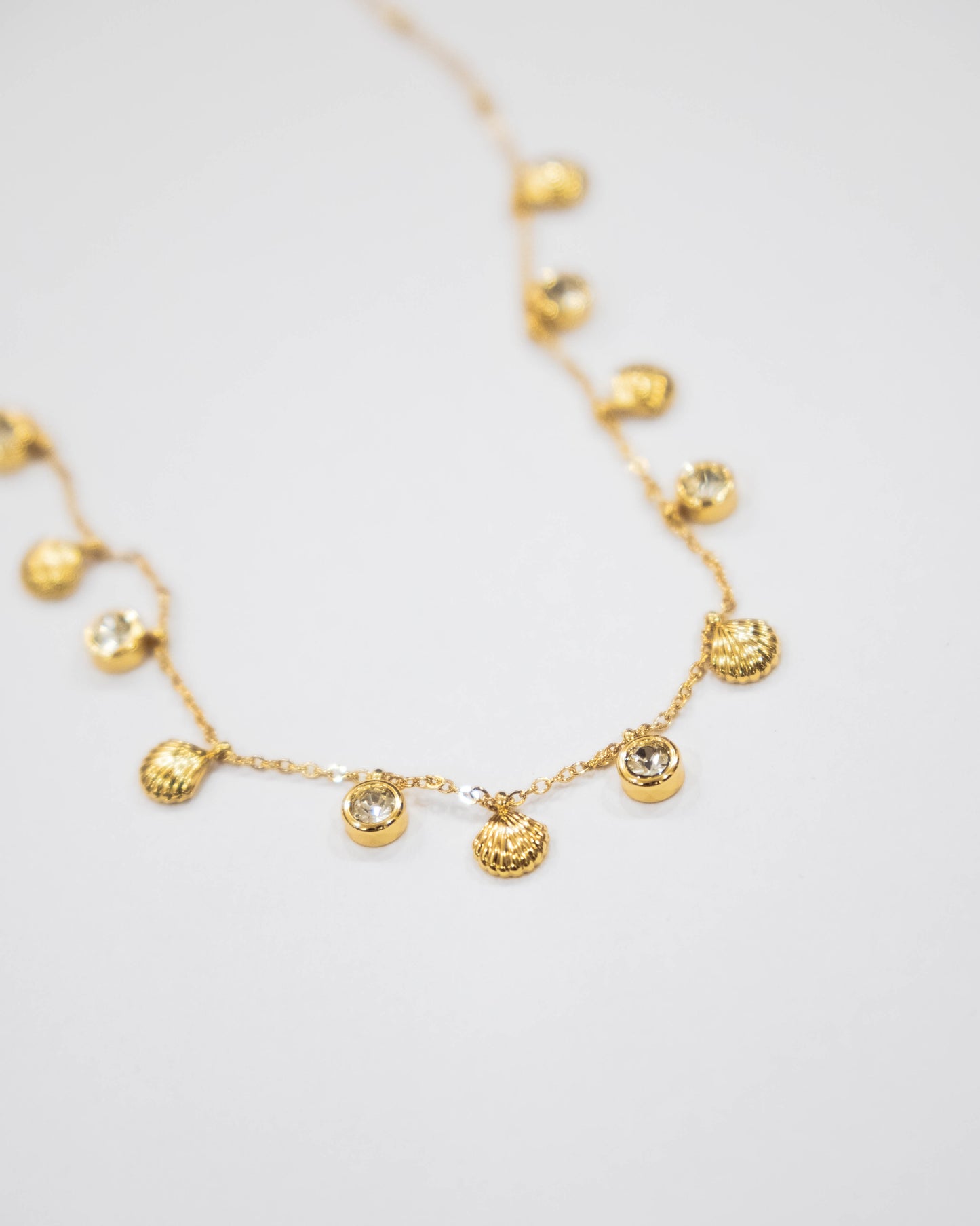 Shell & Shine