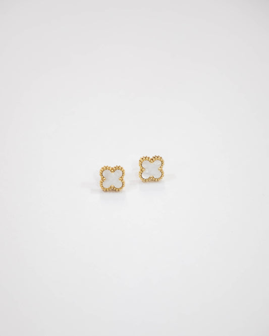 White Clover Stud