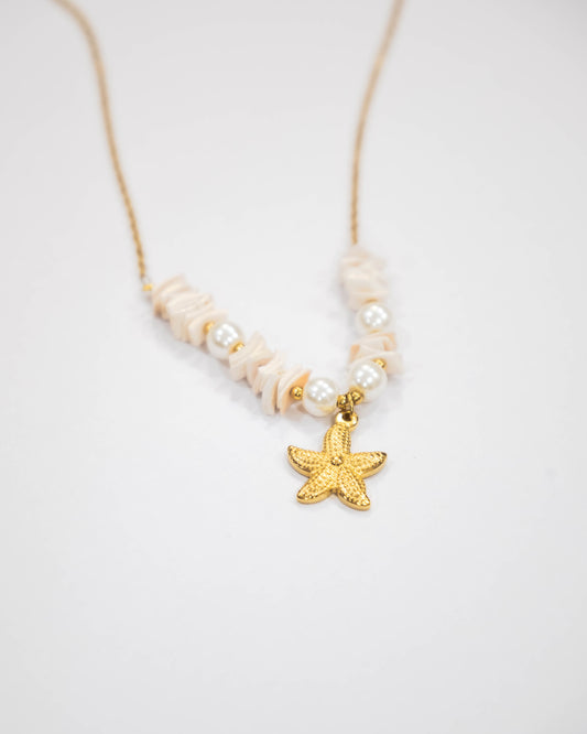 Seashell Necklace