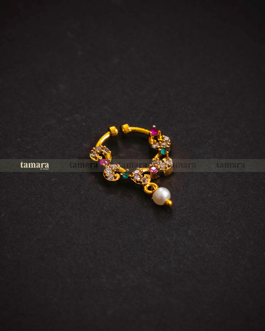 Kasthuri - Multi - colored