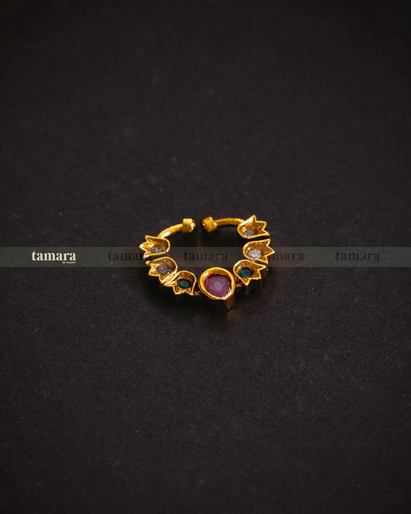 Tulip - Multi-colored