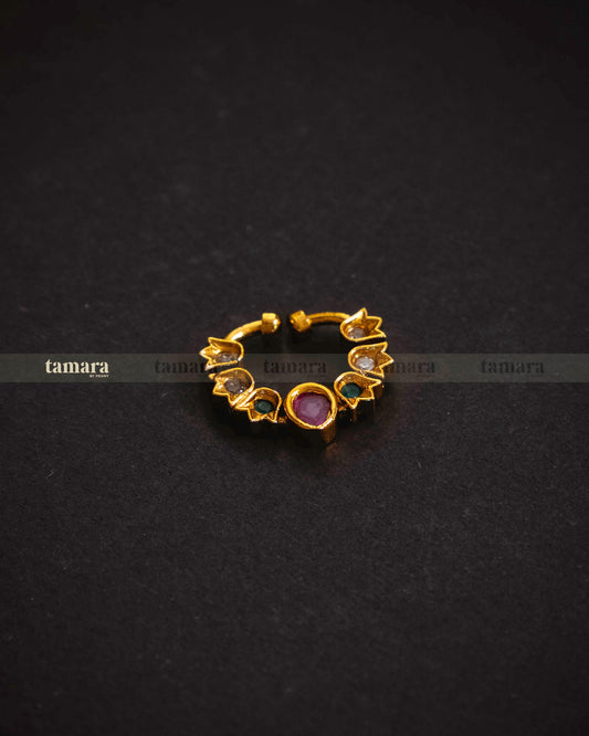 Tulip - Multi-colored