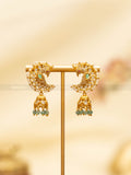 Studded Parrot Earrings