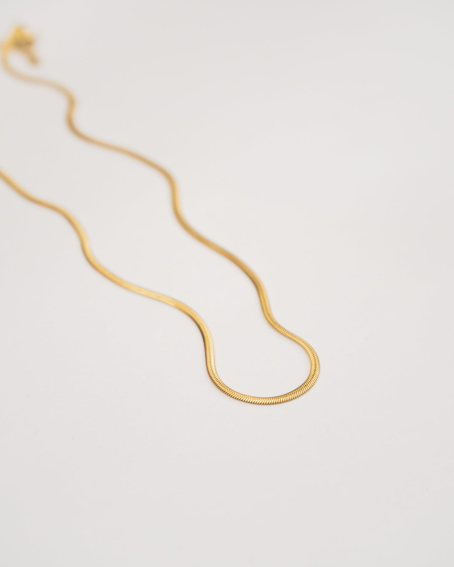 Snake Chain