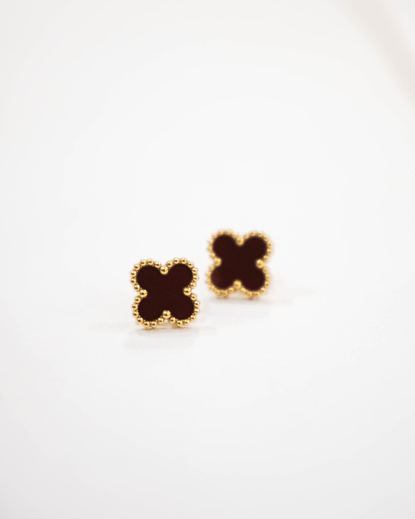 Crimson Clover