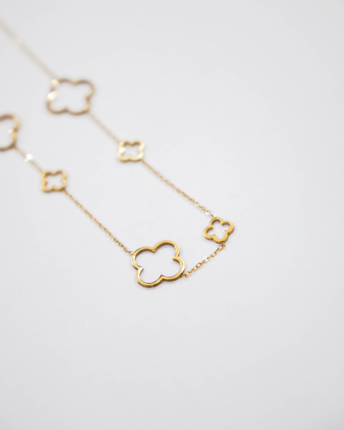 Golden Clover