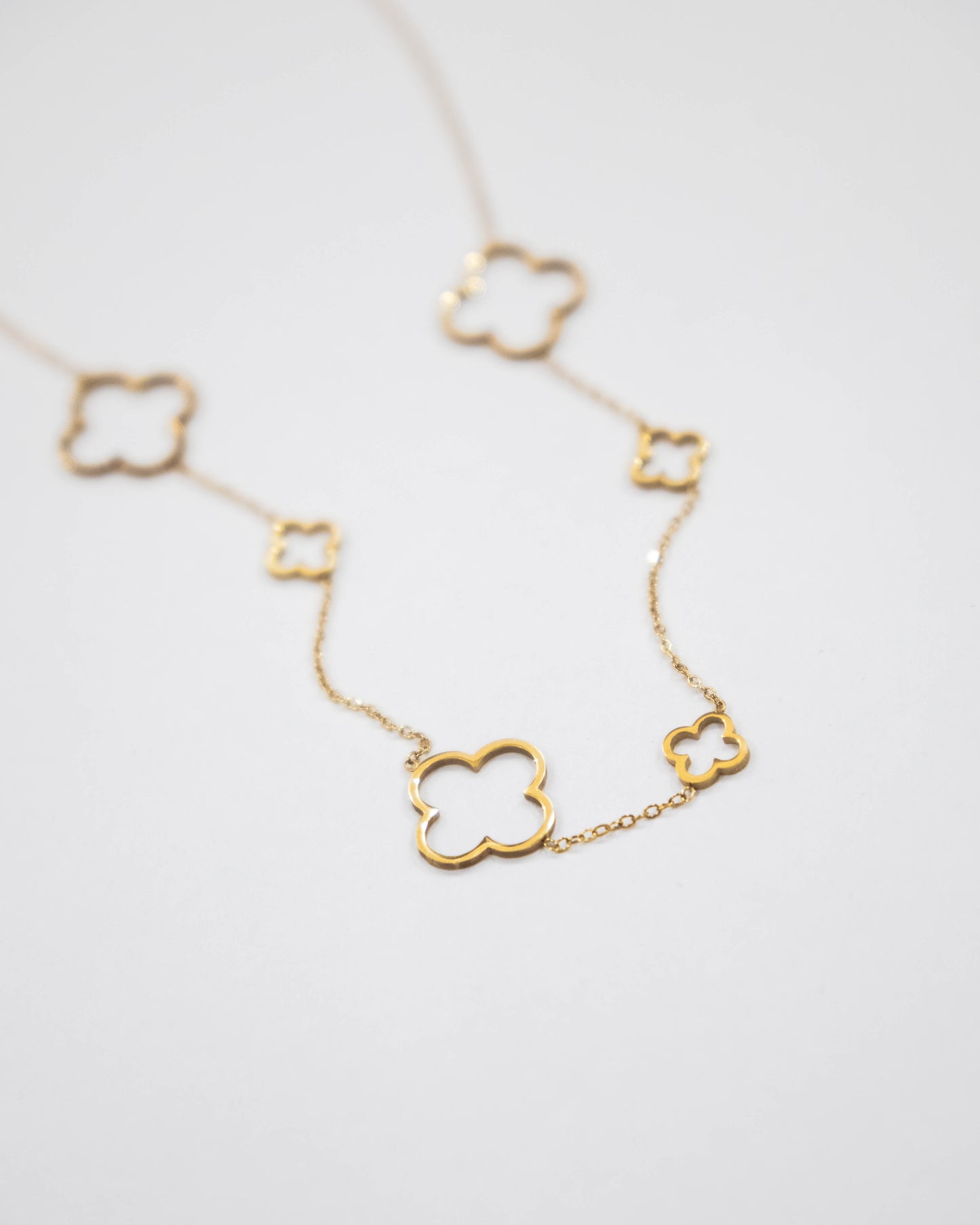 Golden Clover