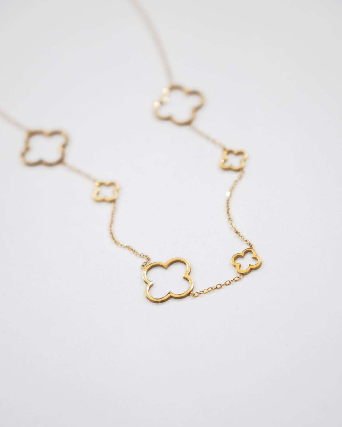 Golden Clover