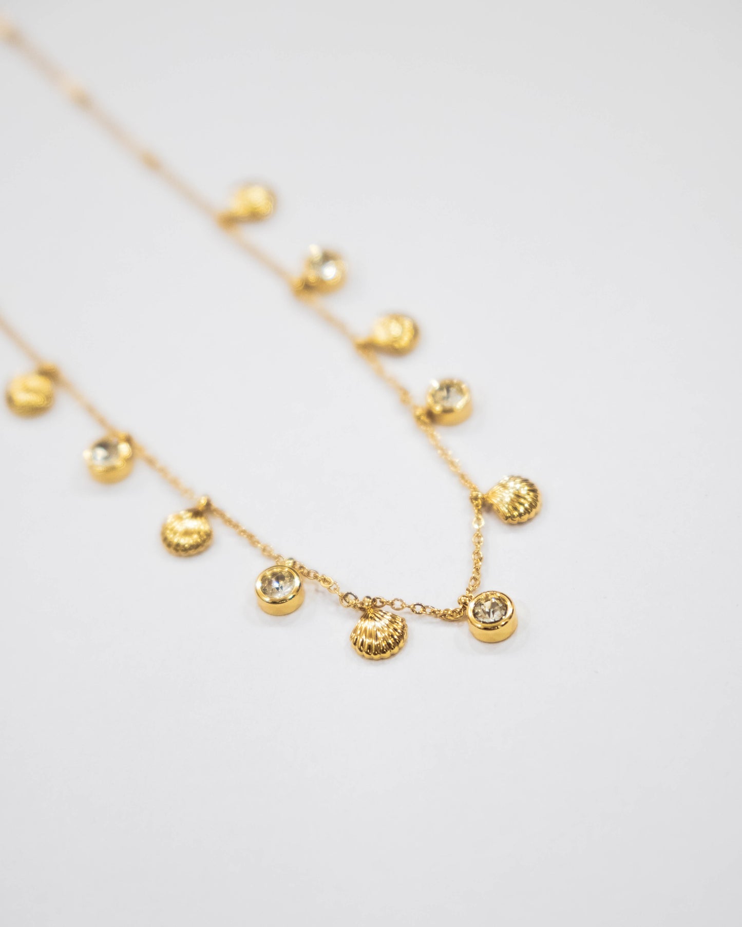 Shell & Shine